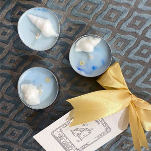 وارمر های دریایی توی پک ۱۲ تایی